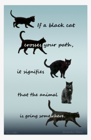If A Black Cat Crosses Your Path, It Signifies - Poster On Superstition Drawing #9791338