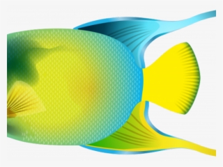 Whale Shark Clipart Transparent - Coral Reef Fish #9791628