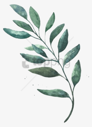Free Png Download Leaf Watercolor Png Images Background - Transparent Leaves Png Watercolor #9794064