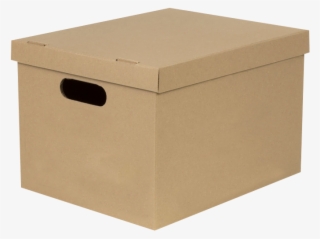 Storage File Box #9794230