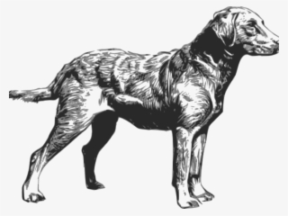 Free On Dumielauxepices Net - Chesapeake Bay Retriever Silhouette #9794688