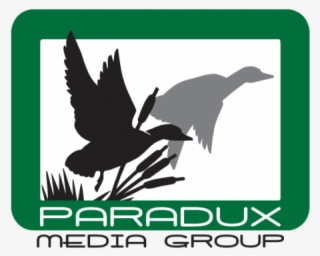 Paradux Media Group - Duck Flying #9796315