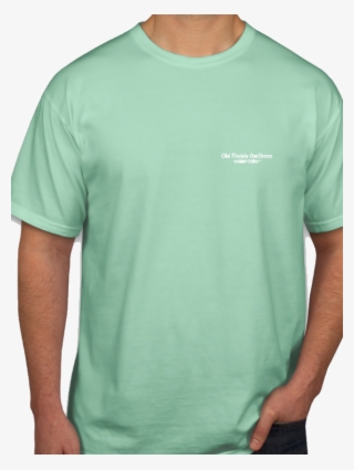 Ofo Short Sleeve Pocket 30a Logo T-shirt In Mint/white - Active Shirt #9798041