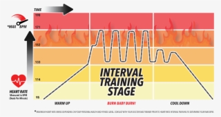 Heart Rate Zones Vary By A Person's Age, Consider Consulting - Graphic Design #9798046