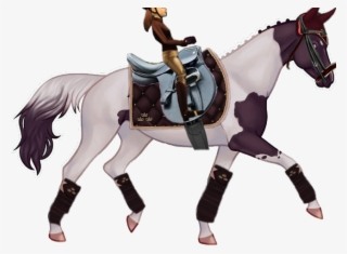 Stallion #9798278