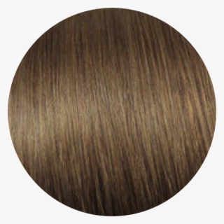 24'' Tape Hair Extensions - Chestnut Brown #6 Zala Hair Extensions #9798656