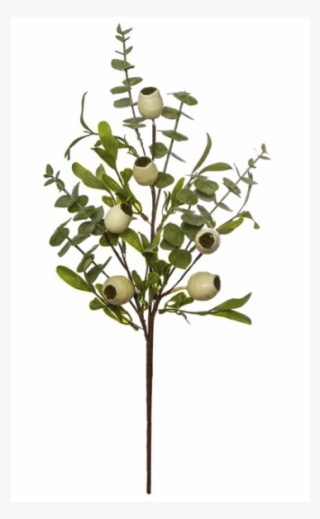 33008314 - Twig #9798986