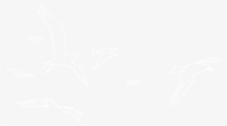 Directs This Visual Diary Of A Generation Stuck Between - Toronto Film Festival Logo White #9799602