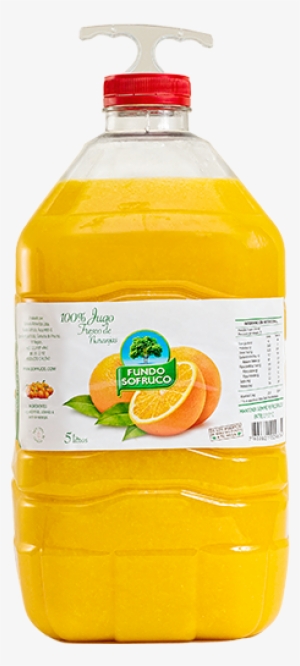 Jugo De Naranja Jugo De Naranja - Orange Juice #980028