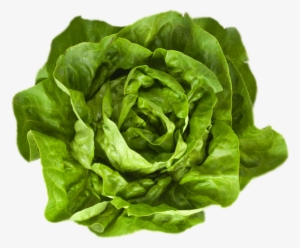 Food At Bookmakers - Butter Lettuce #980176