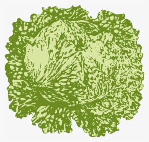 Lettuce Png #980257
