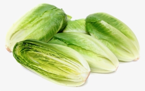 Romaine Lettuce Png Photo - Cos Or Romaine Lettuce #980336