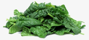 Food For Thick Beard #981150