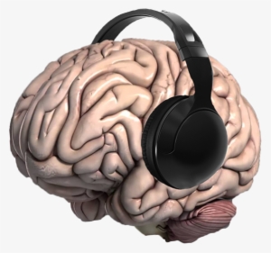 Mind Music - Model #981260