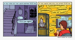 Ripley Is Serious About Bed Time - Ripley Parrot Comic #981894