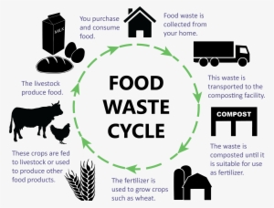 Food Waste Cycle Web4 - Save A Cow Eat A Vegan Note Cards - Free ...