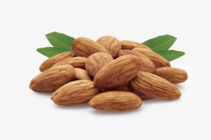 Almonds - Cashew & Almond Png #983151