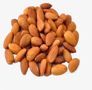Almond Png #983174