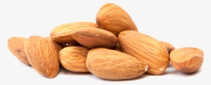 Image Info And Credits - Almond Png #983355