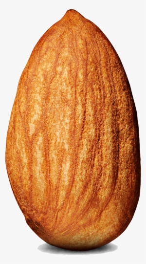 Almond Single - Almond Fire Emblem #983395