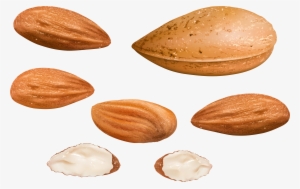 Almond #983620