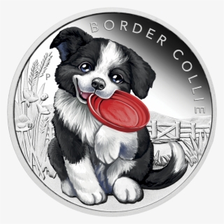 Silver Coin "puppies - 邊境 牧羊 犬 商品 #983904