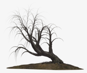 Creepy Tree 21 By Wolverine041269 On Clipart Library - Creepy Trees Png #983967