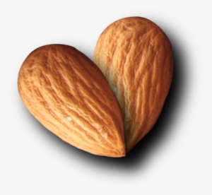 Almond Png - Almond Logo Png #984034
