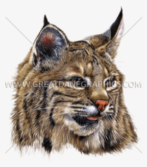 Bobcat - Decal #984598