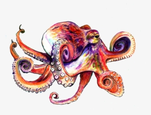 Octopus #984644