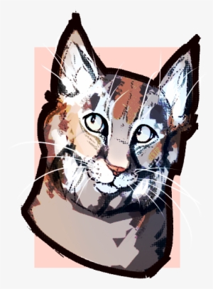 Simple Bobcat Bustc - May 22 #984664