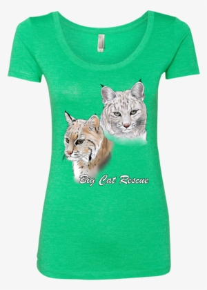 Bcr The Biscuit Bobcats Nl6730 Next Level Ladies' Triblend - Merica Fuck Yea Ladies Scoop #984708