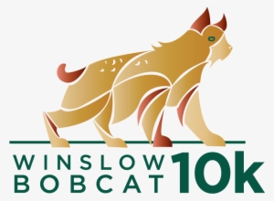 Winslow Bobcat 10k - Cat Yawns #984899