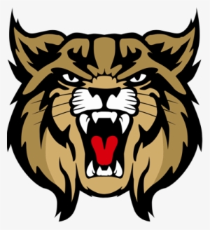 Brookings High School #985076