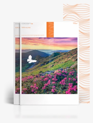 See How Much You Can Reduce Your Consumption Of The - Cocoon Silk Paper #985175