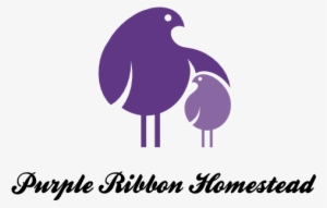 Purple Ribbon Homestead Nigerian Dwarf Goats, Velveteen - Poppa Bear Throw Blanket #985471