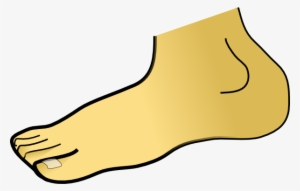 Cartoon Legs Png - Foot Clipart #985710