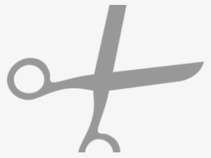 Scissors #986501