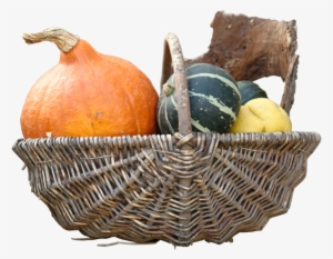 Pumpkin Png By Gd08 - Pumpkin #987358