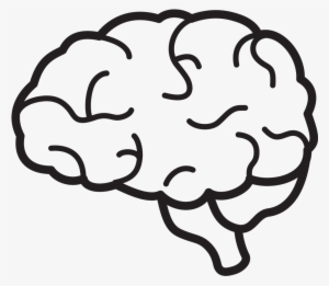 Brain Icon Png - Brain Clipart Black And White Png #987560