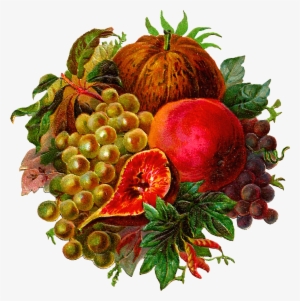 Here'a Another Spectacular Digital Fruit Graphic I - Clip Art #987766