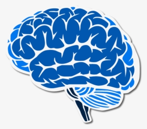 Brain - Brain Clipart Blue #987769 Brain - Brain Clipart Blue #987769