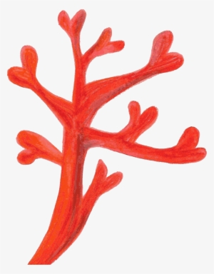 28 Collection Of Coral Clipart Png - Red Coral Clipart #988037