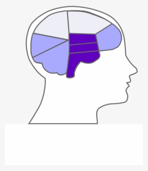 Head And Brain Outline Svg Clip Arts 516 X 597 Px #988104