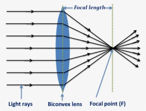 Biconvex Len- Converging Light Rays - Biconvex #988821