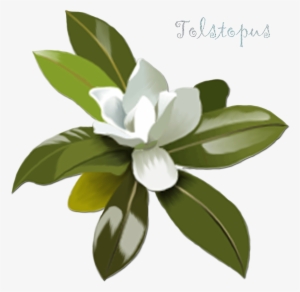 Clip Art Transprent Png Free Download - Magnolia Flower Clip Art #989501