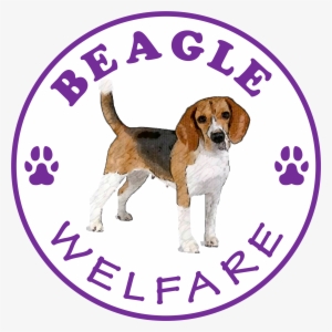 Beagle Welfare - Red Cotton T-shirt #989780