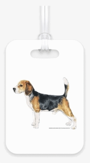Beagle Luggage Tag - Dog Breeds Az #989828