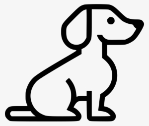 Dog Puppy Beagle Comments - Pet #989846