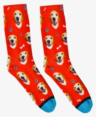 Custom Dog Socks #9801531